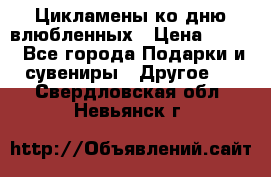 Цикламены ко дню влюбленных › Цена ­ 180 - Все города Подарки и сувениры » Другое   . Свердловская обл.,Невьянск г.